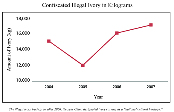 A line graph titled Confiscated Illegal iIvory, in Kilograms, shows 14,000 kilograms of ivory were confiscated in 2004, 12,000 kilograms in 2005, 16,000 kilograms in 2006, and 17,000 kilograms in 2007.