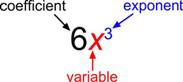 An image shows a monomial of 6 X to the third power shows 6 is the coefficient, X is the variable, and the raised 3 is the exponent.
