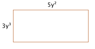 An image of a rectangle shows the length is 3 Y cubed and the width is 5 Y squared.
